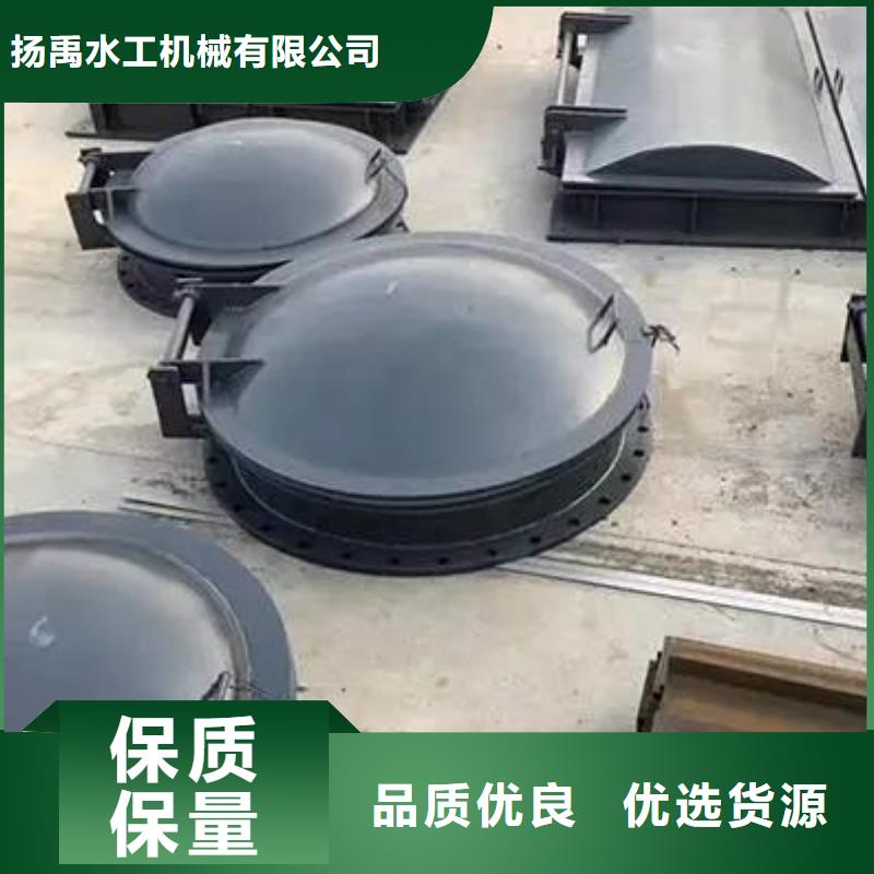 拍门,球墨铸铁闸门甄选好厂家