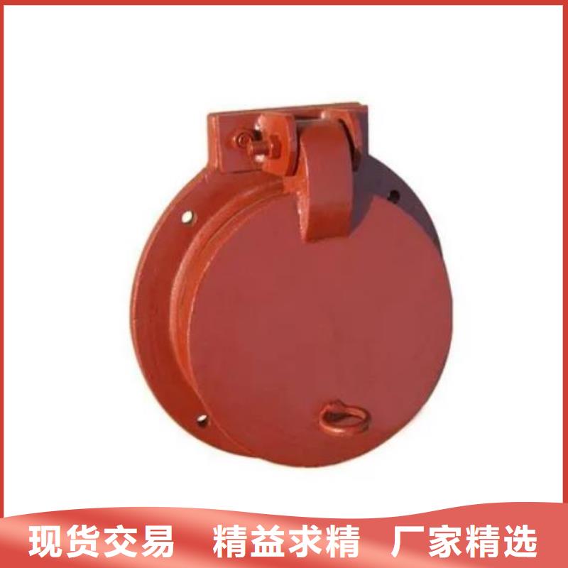 拍門,封閉式啟閉機(jī)多年廠家可靠
