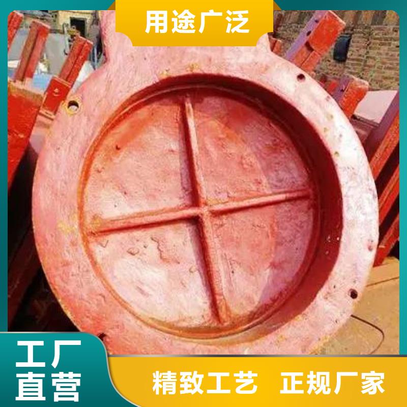 【拍門】鋼制閘門定制定做