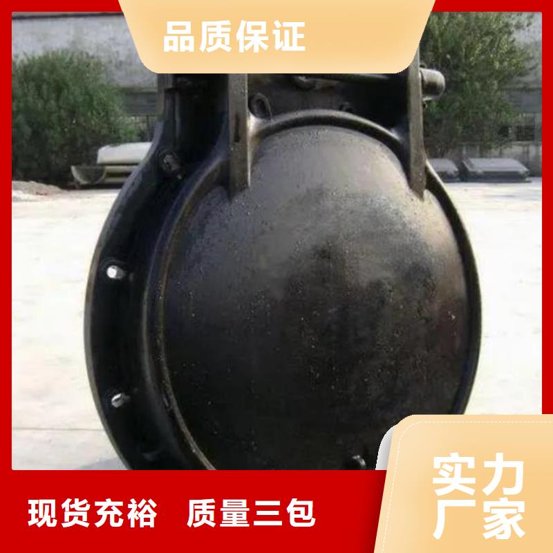 【拍门】钢制拍门市场行情