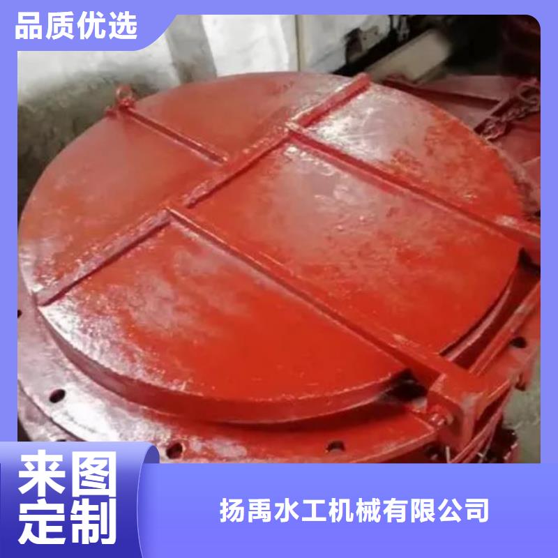 拍门铸铁闸门讲信誉保质量