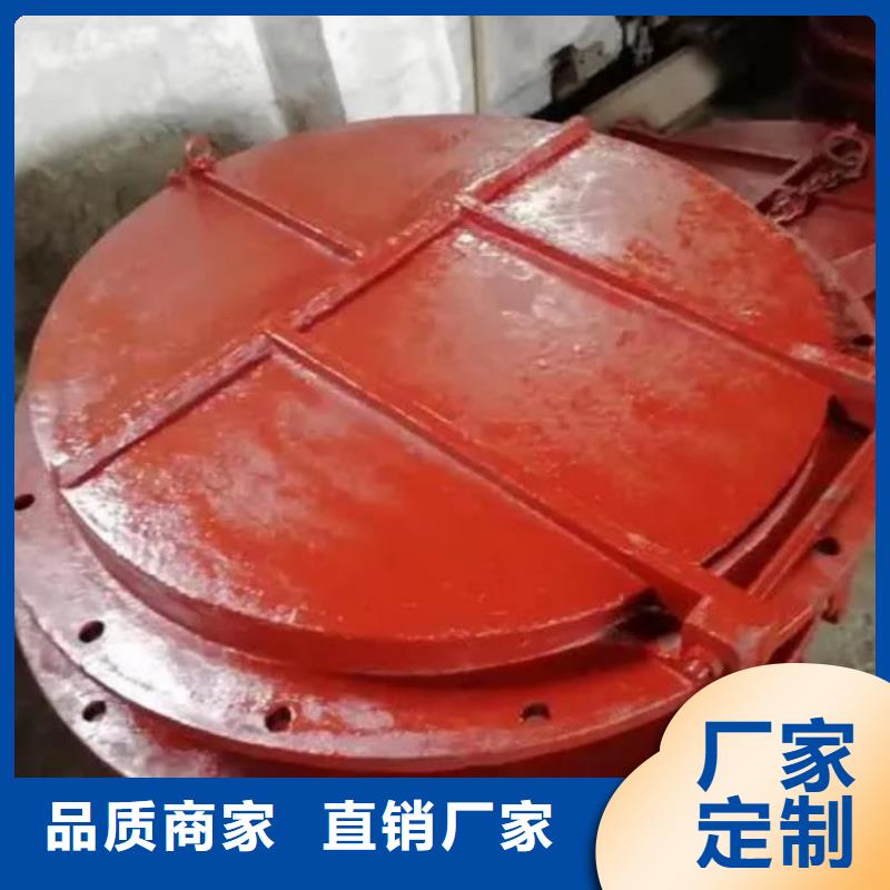 拍门,卷扬启闭机厂家发货迅速