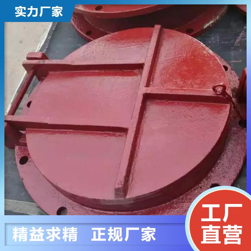 拍門扇形閘門產(chǎn)地直供