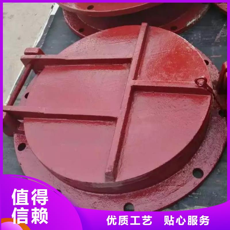 拍门【不锈钢拍门】厂家经验丰富