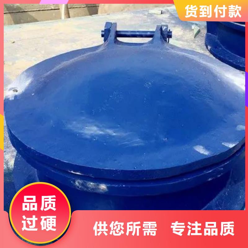 【拍門(mén),球墨鑄鐵閘門(mén)N年大品牌】