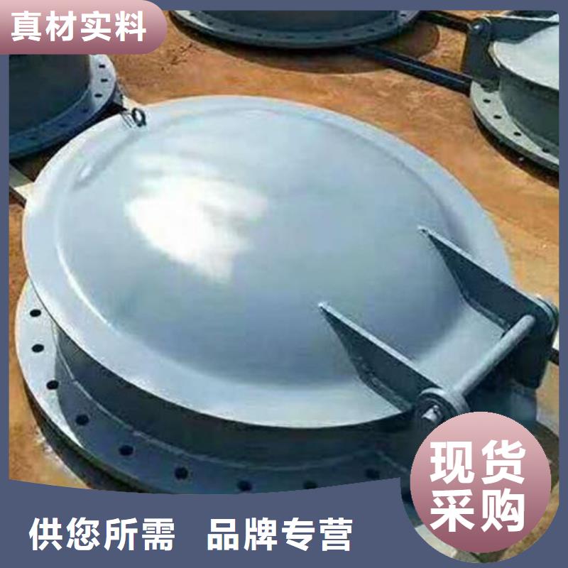 拍門-泵站鑄鐵閘門廠家現(xiàn)貨供應
