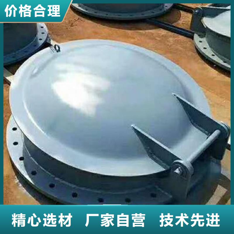 拍門(mén)廠家直銷(xiāo)規(guī)格多樣