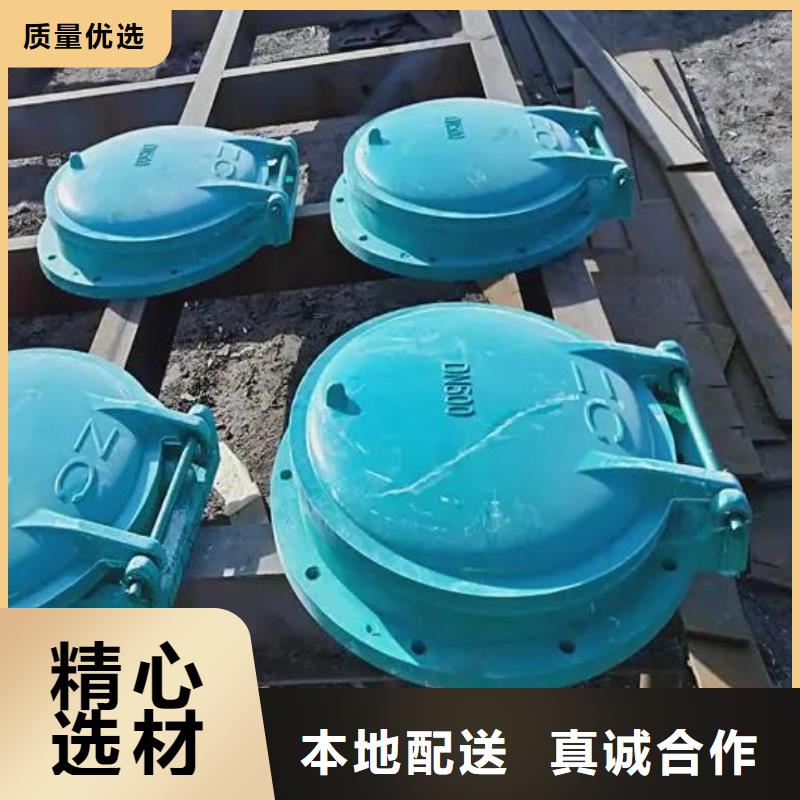 拍门,球墨铸铁闸门甄选好厂家