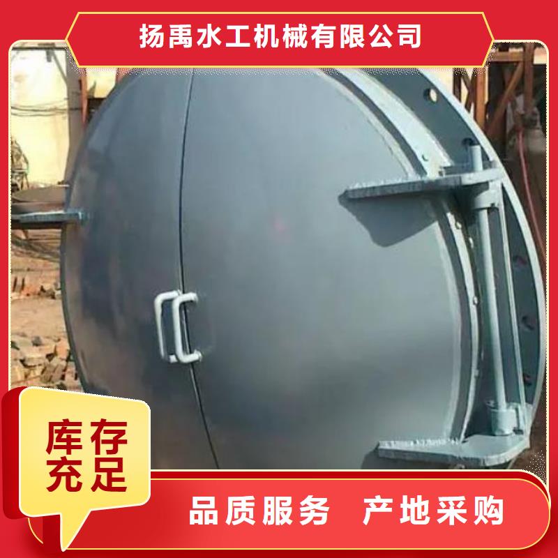 拍门钢坝闸门本地厂家值得信赖