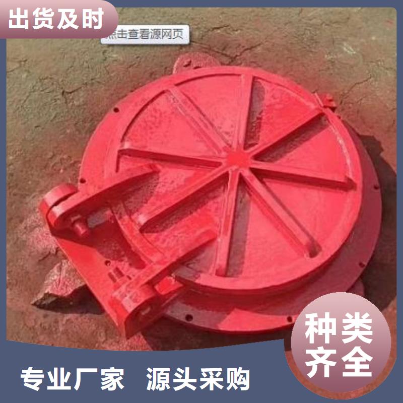 拍門-機(jī)閘一體式閘門品質(zhì)無所畏懼
