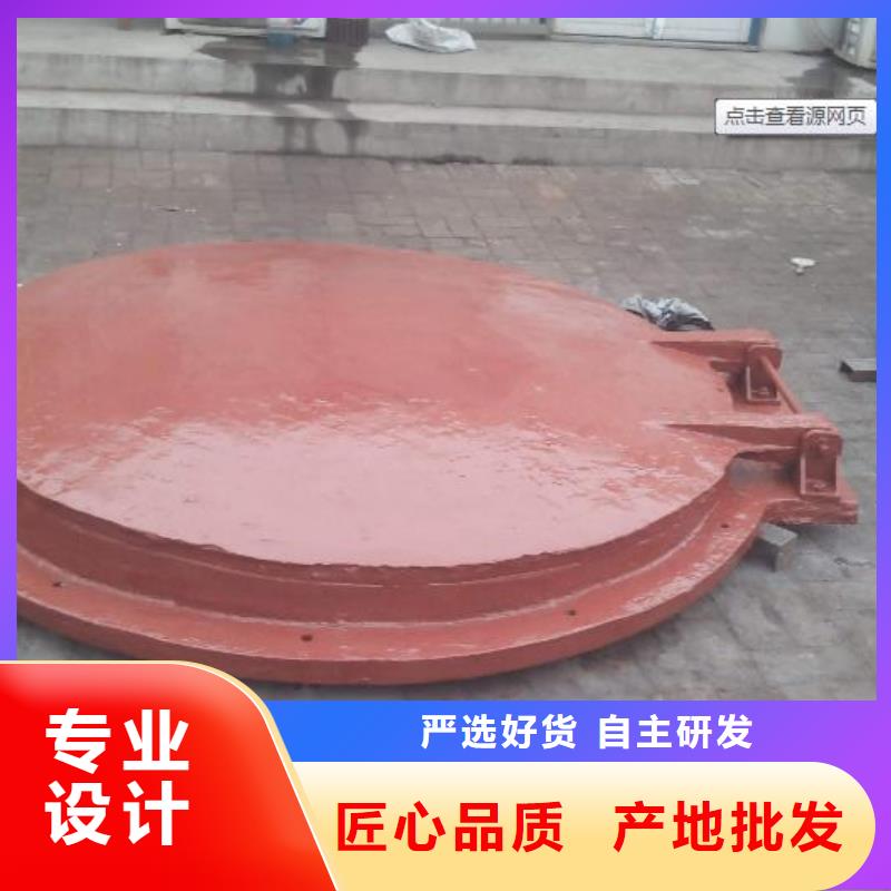 拍门_【景观钢闸门】产地工厂