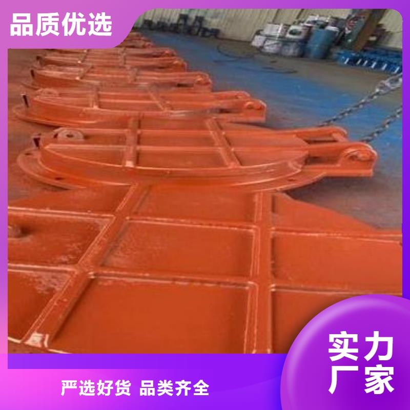 拍門,封閉式啟閉機(jī)多年廠家可靠