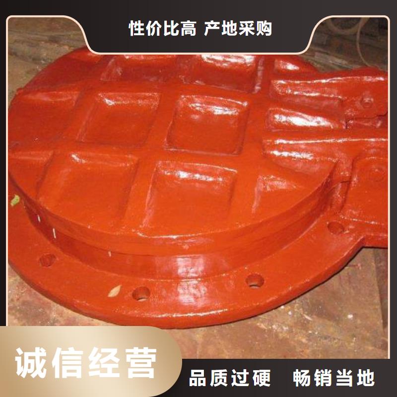 拍門鋼制拍門廠家產(chǎn)地采購(gòu)