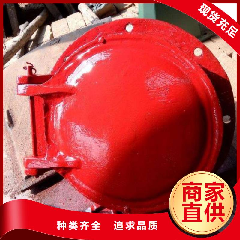 拍门铸铁闸门产地工厂
