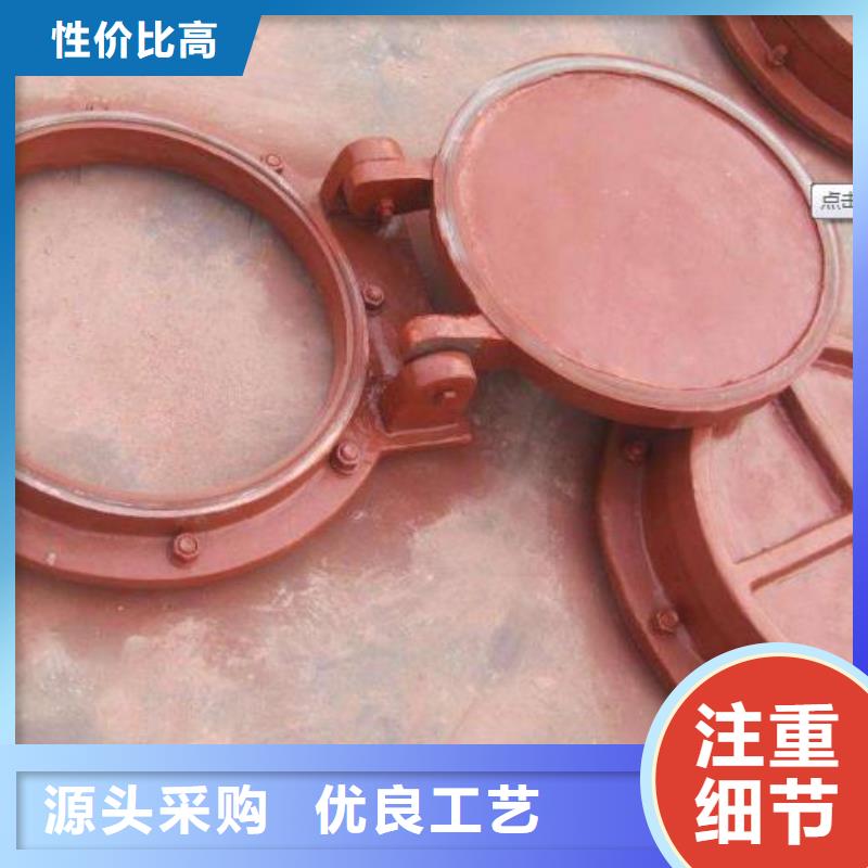 拍门钢制拍门厂家实体厂家支持定制