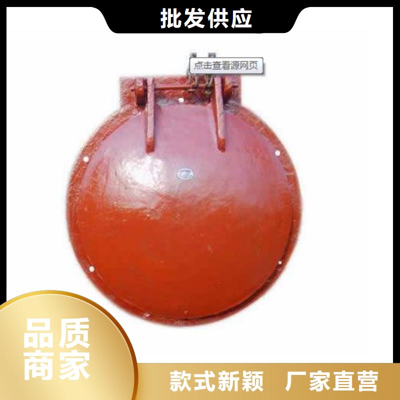 拍門,暗桿式啟閉機按需定做