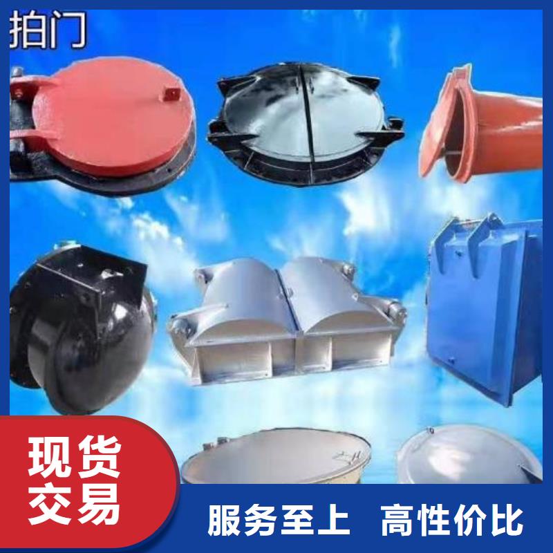 拍門,封閉式啟閉機(jī)多年廠家可靠