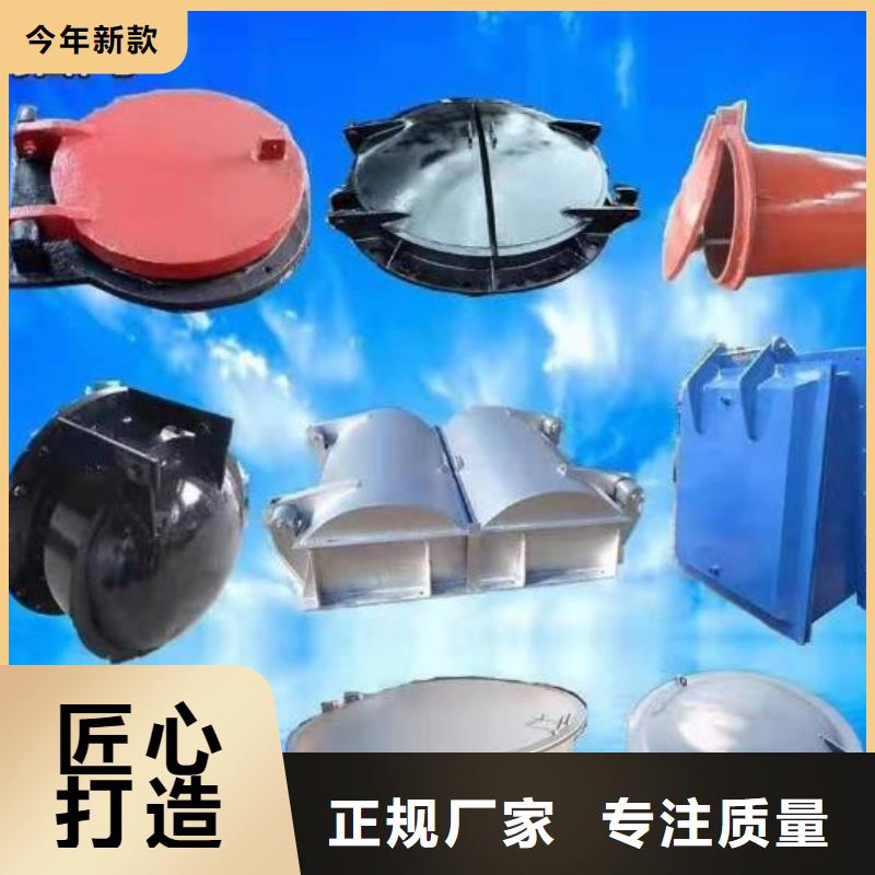拍門_機(jī)閘一體式閘門講信譽(yù)保質(zhì)量