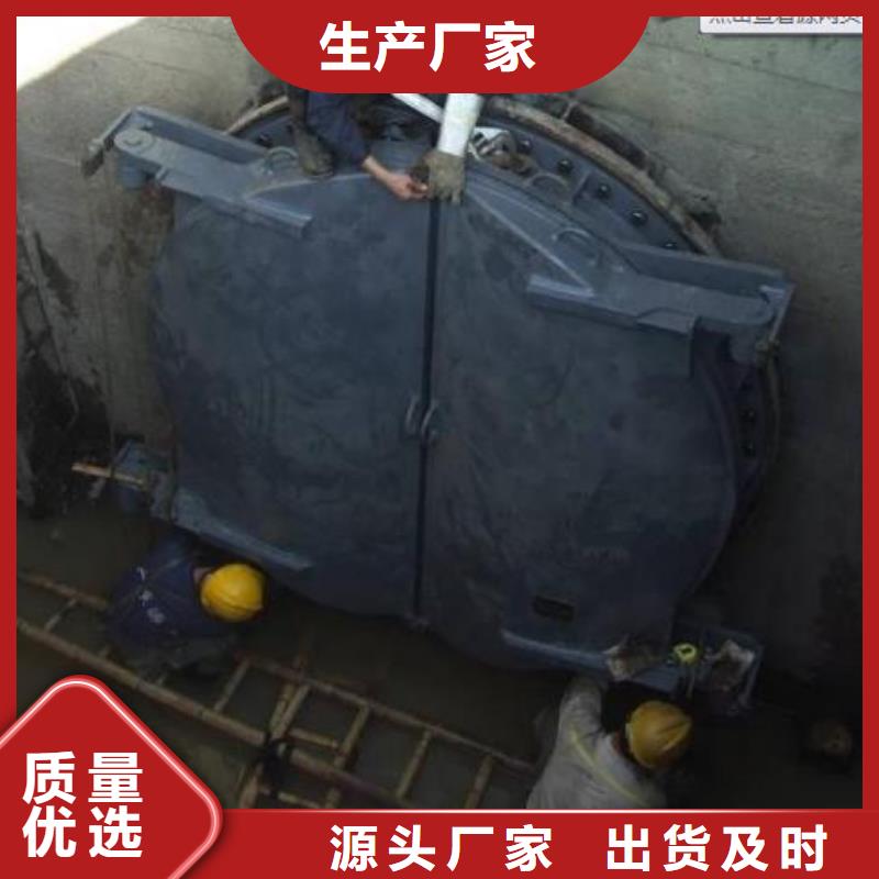 拍門(mén)扇形閘門(mén)暢銷本地