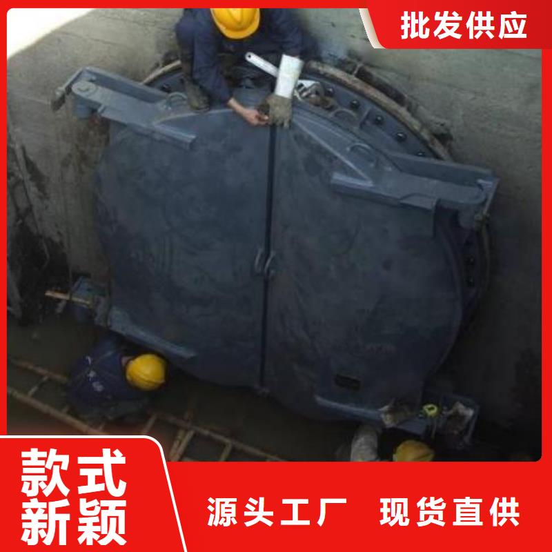 拍门铸铁闸门的图文介绍
