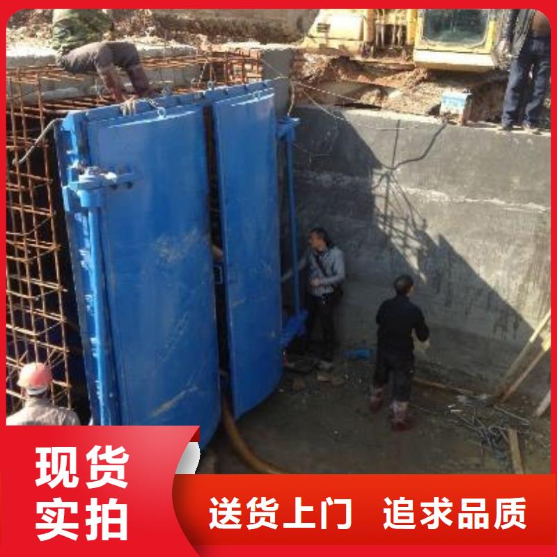 拍門 鋼制拍門專業(yè)信賴廠家