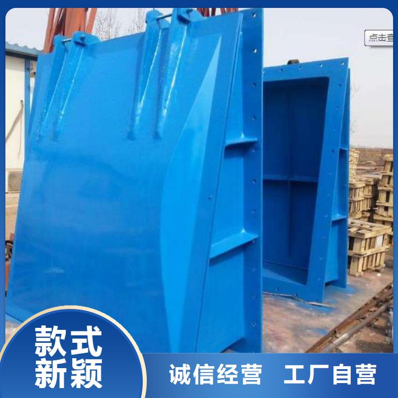 拍门【铸铁闸门】厂家