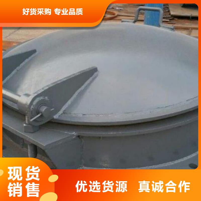 拍門_卷揚啟閉機廠家貨真價實