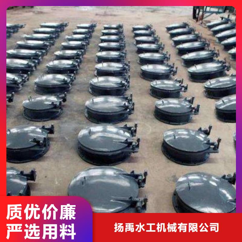 拍門_鑄鐵閘門廠家實力雄厚