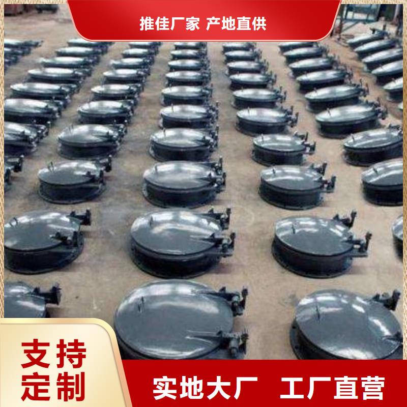 拍门 不锈钢拍门批发货源