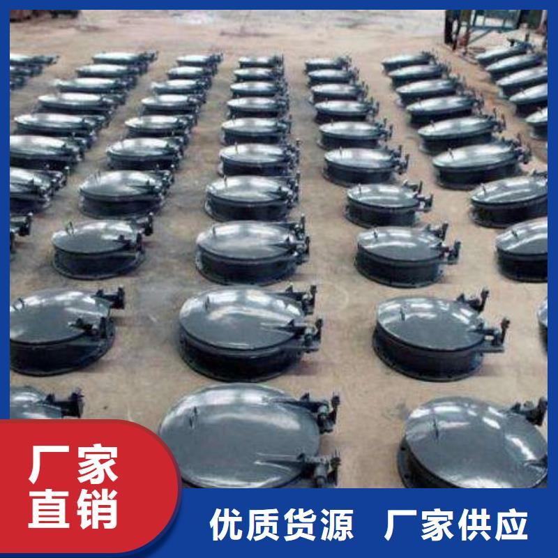 拍門卷揚(yáng)啟閉機(jī)品牌大廠家