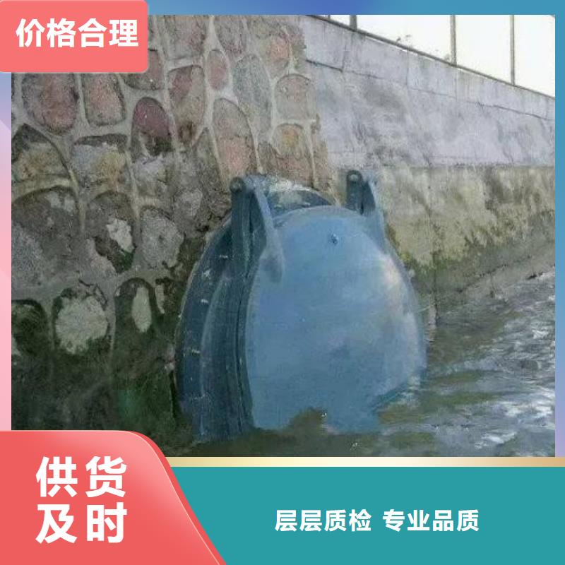 拍門 鋼制拍門專業(yè)信賴廠家