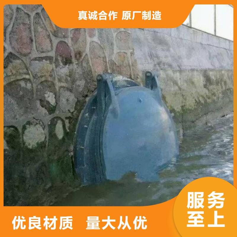 拍門(mén)扇形閘門(mén)暢銷本地