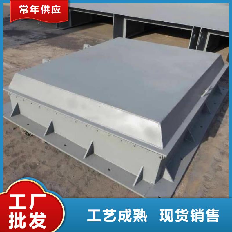 拍门【铸铁拍门】客户满意度高