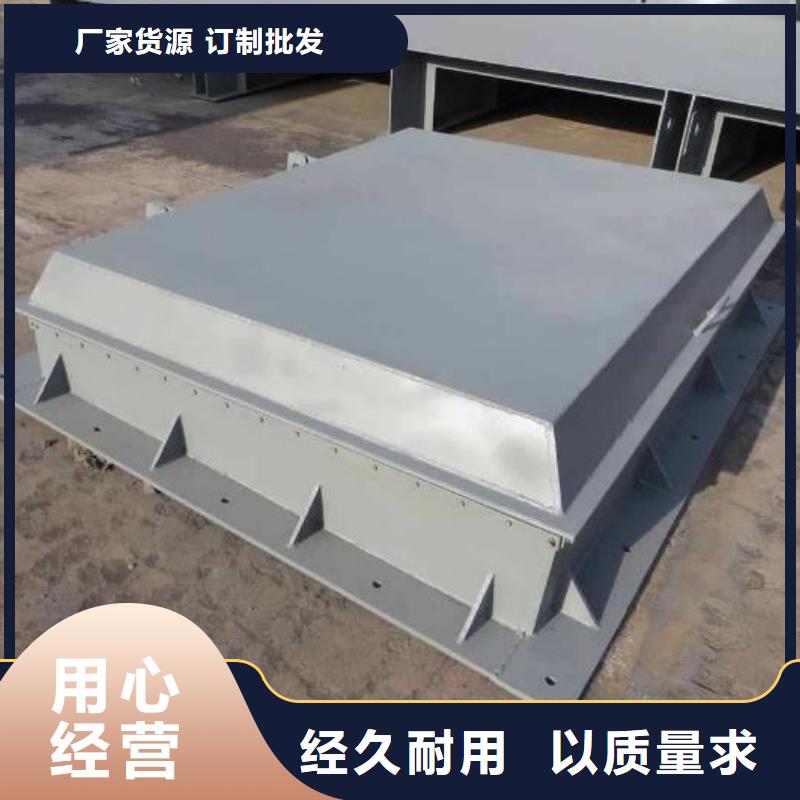 拍門 雙向止水閘門設(shè)備齊全支持定制