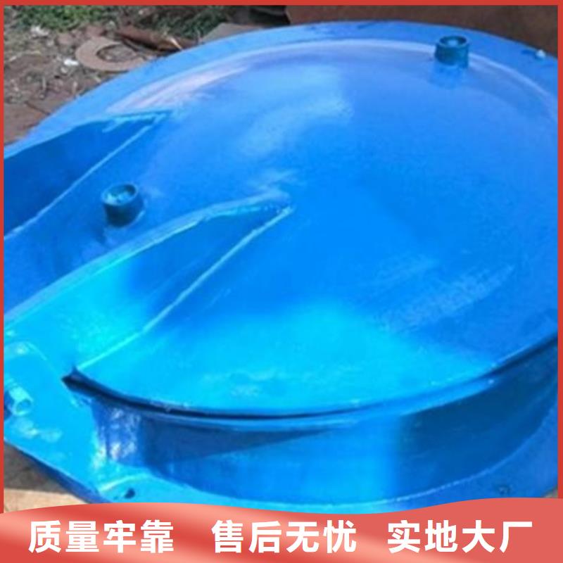 拍門 液壓啟閉機(jī)按需定做