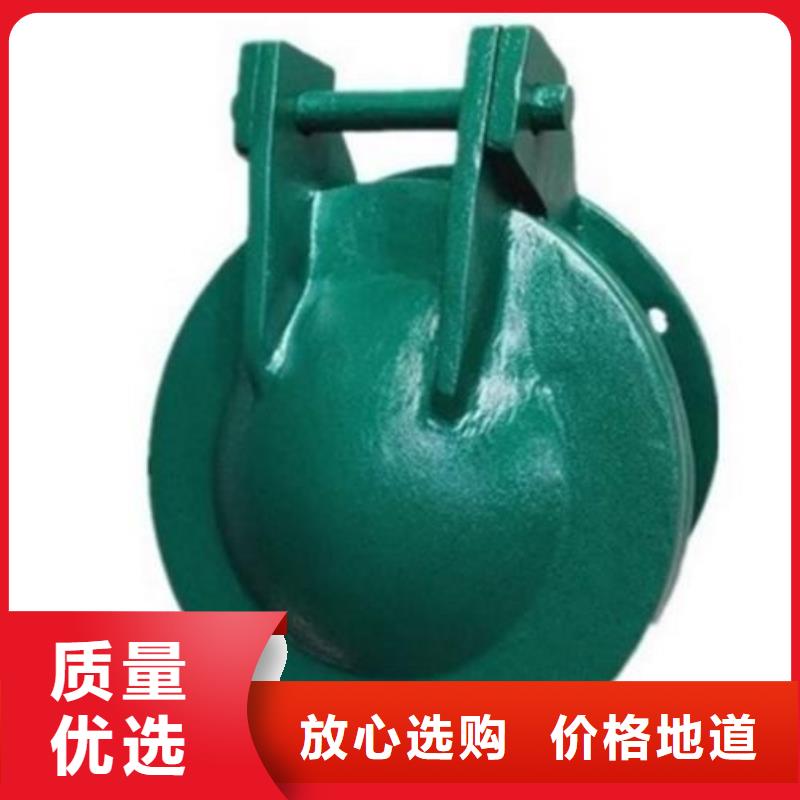 拍門機(jī)閘一體式閘門源頭廠家
