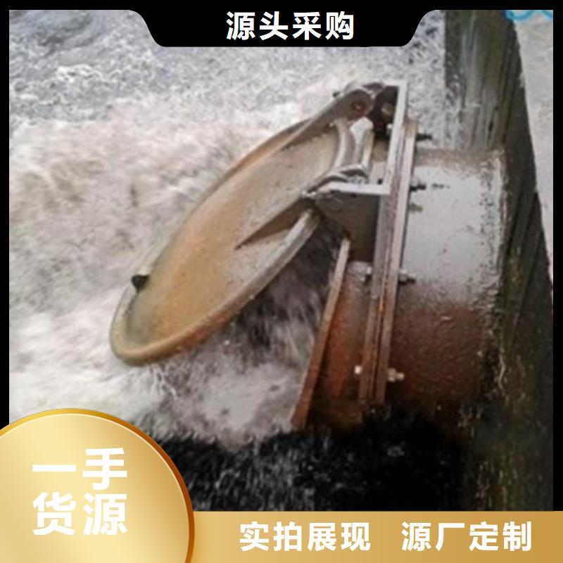 拍門 玻璃鋼拍門源頭廠商