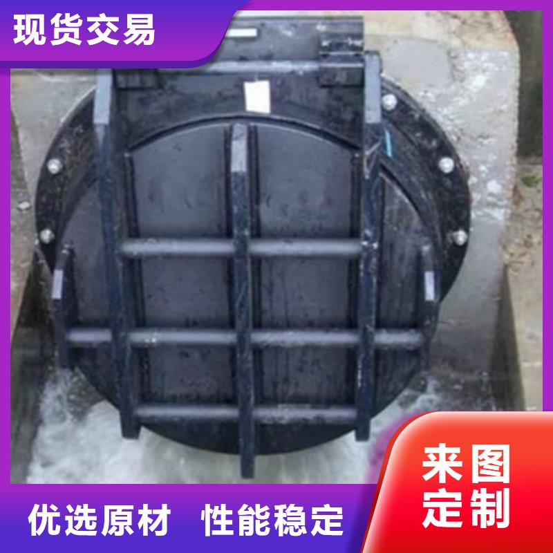 拍門機(jī)閘一體式閘門源頭廠家
