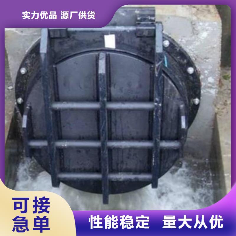 拍門(mén)扇形閘門(mén)暢銷本地