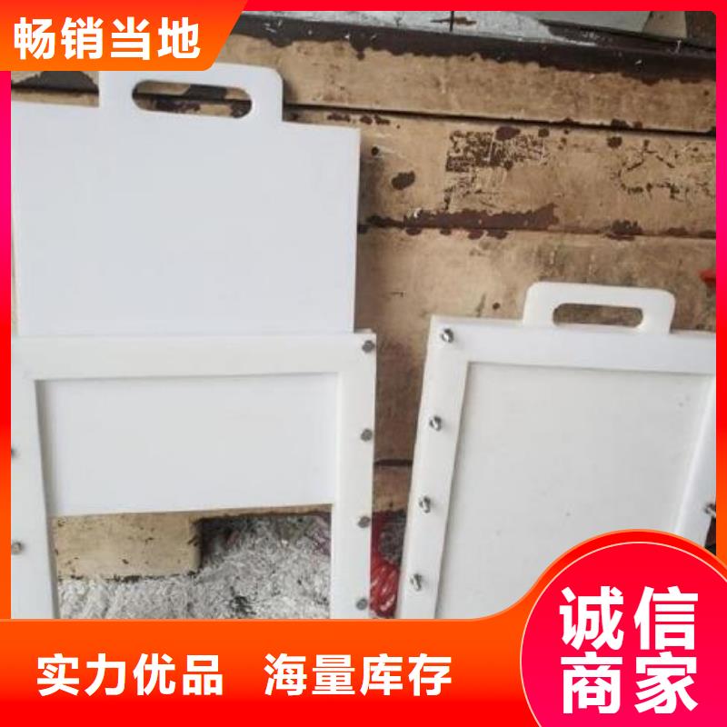 【塑料閘門鑄鐵閘門設(shè)計(jì)制造銷售服務(wù)一體】