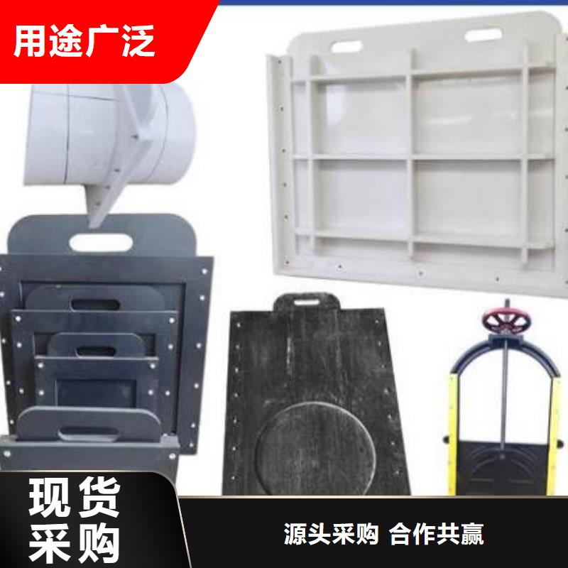 塑料閘門鋼制拍門廠家行業(yè)優(yōu)選