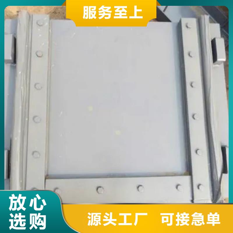 塑料閘門(mén)-卷?yè)P(yáng)啟閉機(jī)擁有多家成功案例