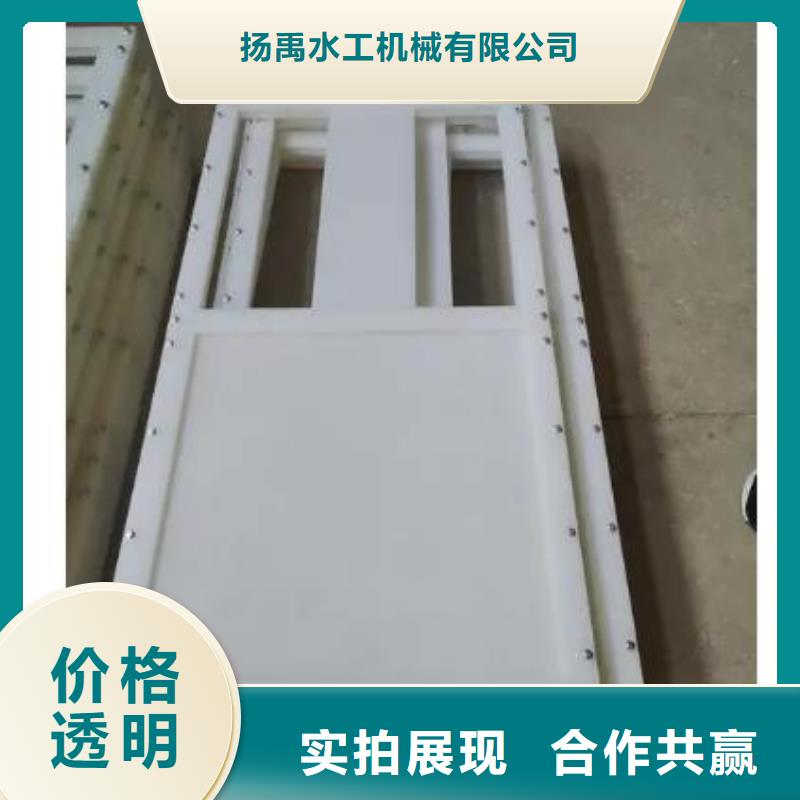 塑料閘門(mén)-啟閉機(jī)閘門(mén)有口皆碑