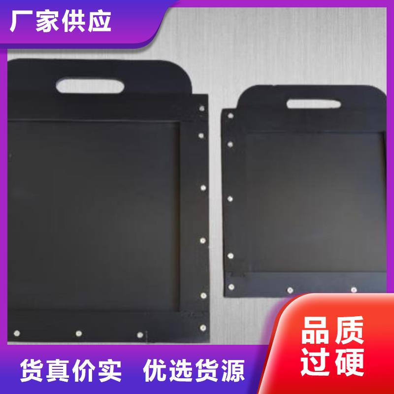 塑料闸门卷闸门制造厂家