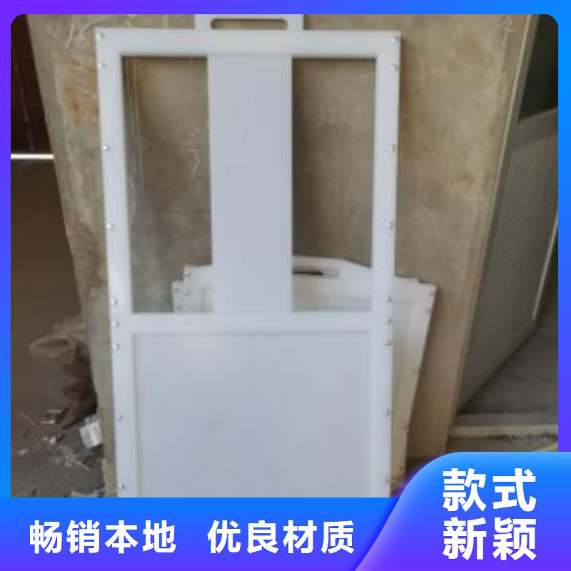 塑料閘門(mén)鑄鐵閘門(mén)廠家規(guī)格全