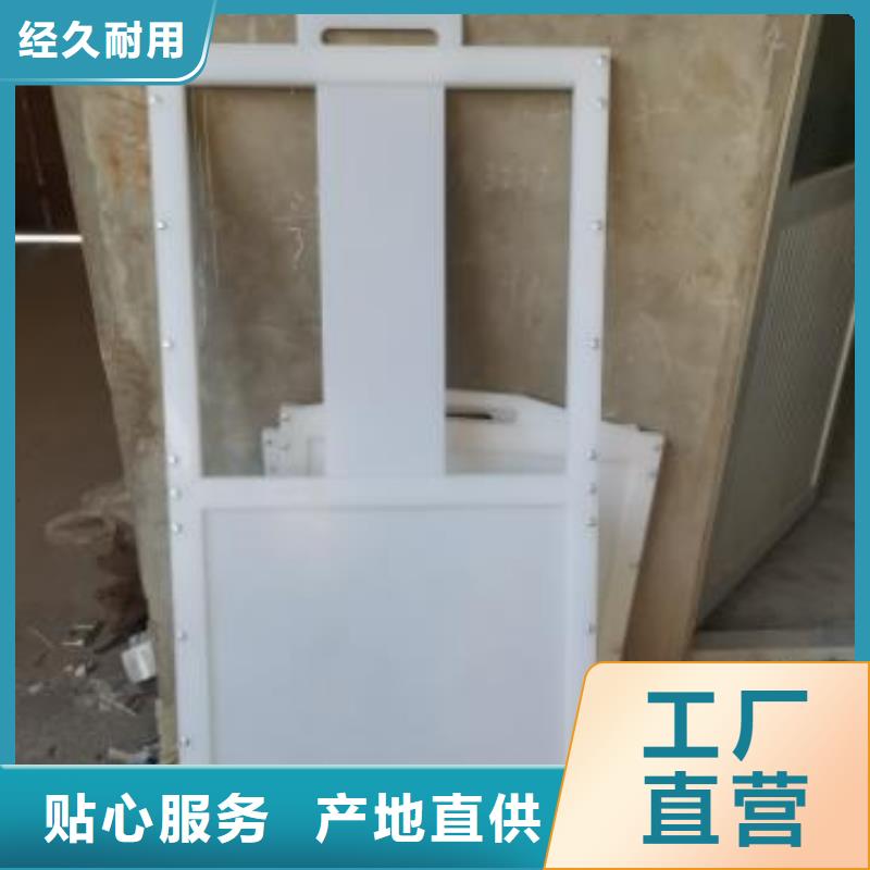 【塑料閘門鑄鐵閘門設(shè)計(jì)制造銷售服務(wù)一體】