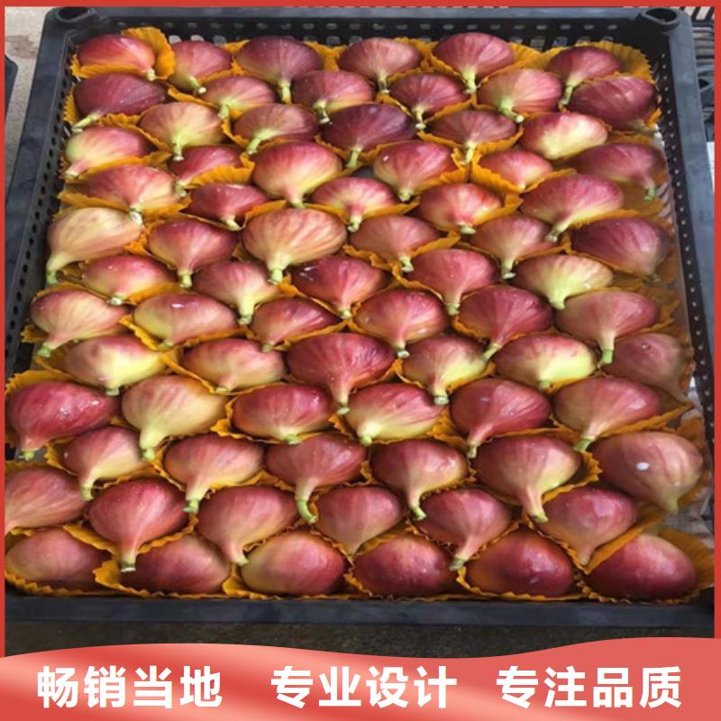 香椿树苗视频-广西省河池市兴业香椿树苗可服务区域天峨|金城江|梧州|来宾|桂林|玉林|钦州|崇左等