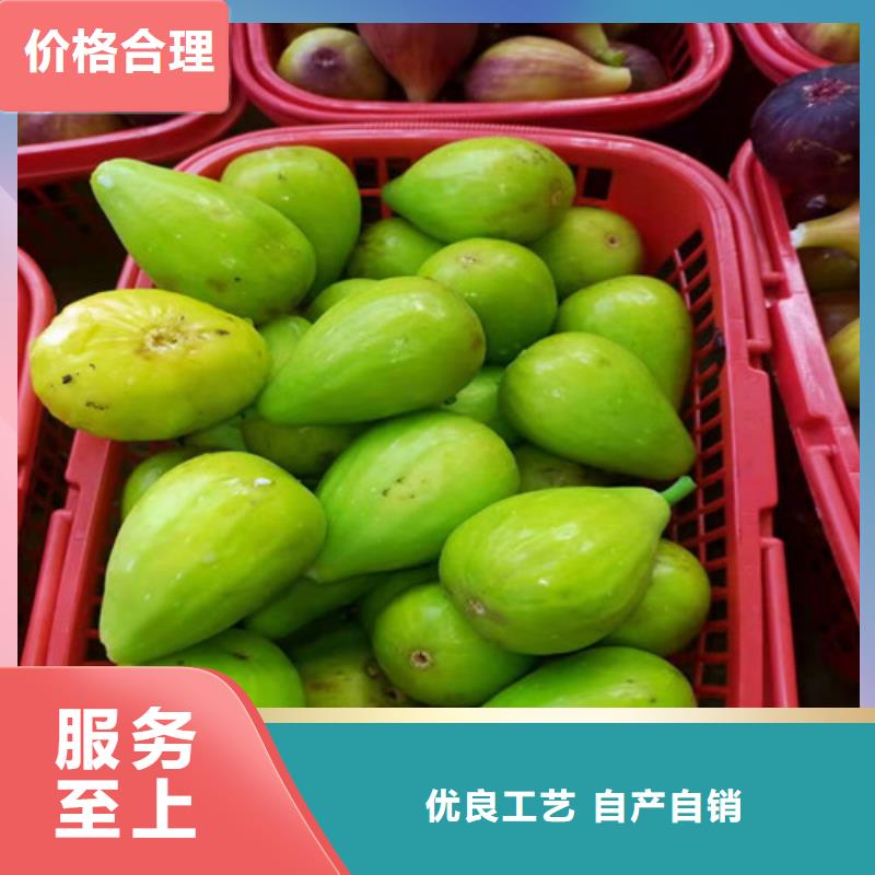 無花果,獼猴桃苗歡迎來電詢價