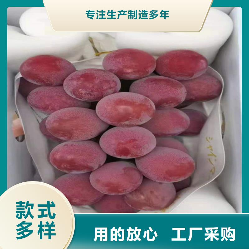 葡萄蟠桃苗产品性能