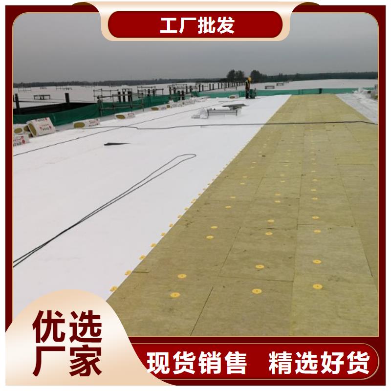 TPOTPO防水卷材供货及时